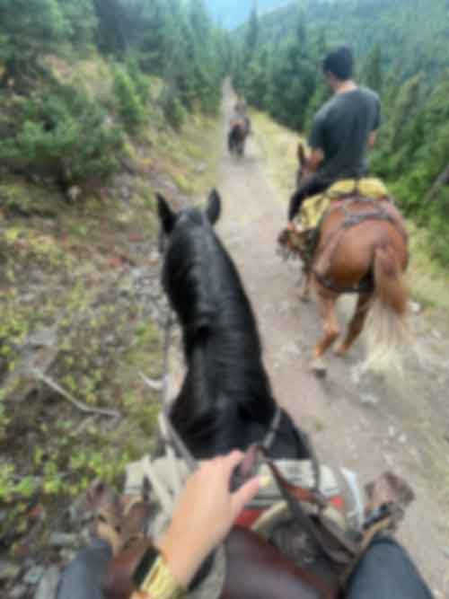 Person Riding Horse On Trail